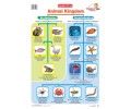 Animal Kingdom Chart